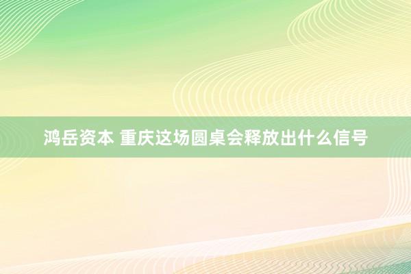 鸿岳资本 重庆这场圆桌会释放出什么信号