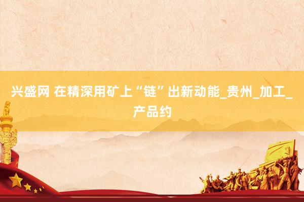 兴盛网 在精深用矿上“链”出新动能_贵州_加工_产品约