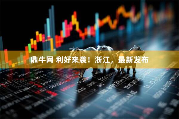 鼎牛网 利好来袭！浙江，最新发布