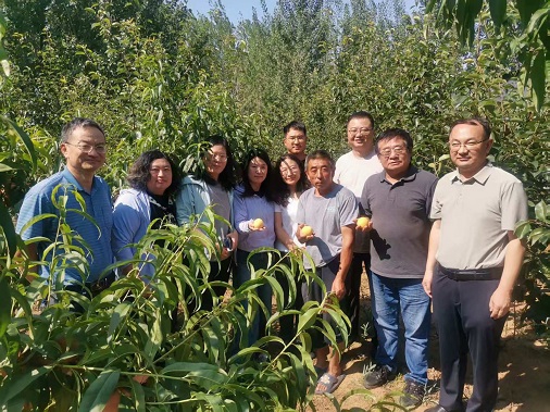 升利配 上海蜜桃创新科技助力“蒙阴蜜桃”累计出口达2000吨