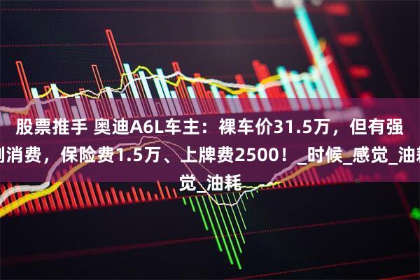 股票推手 奥迪A6L车主：裸车价31.5万，但有强制消费，保险费1.5万、上牌费2500！_时候_感觉_油耗