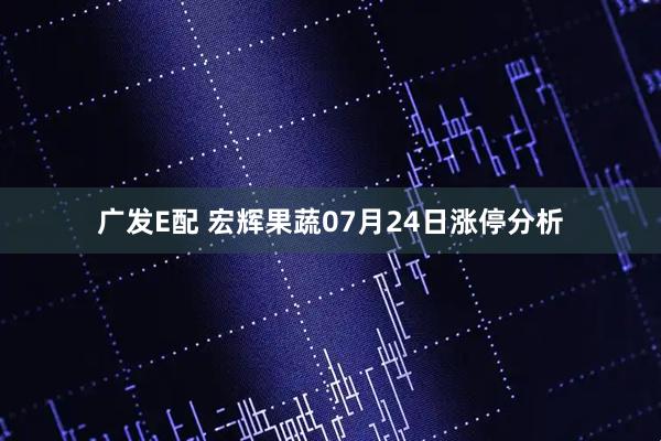 广发E配 宏辉果蔬07月24日涨停分析