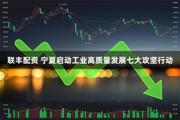 联丰配资 宁夏启动工业高质量发展七大攻坚行动