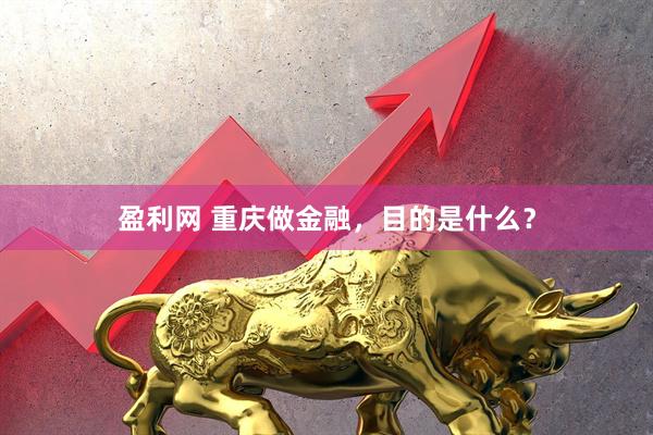 盈利网 重庆做金融，目的是什么？