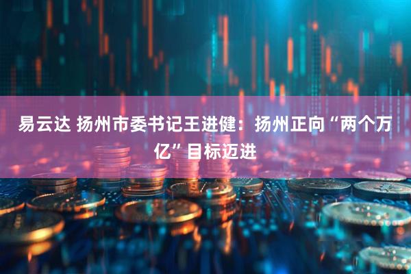 易云达 扬州市委书记王进健：扬州正向“两个万亿”目标迈进