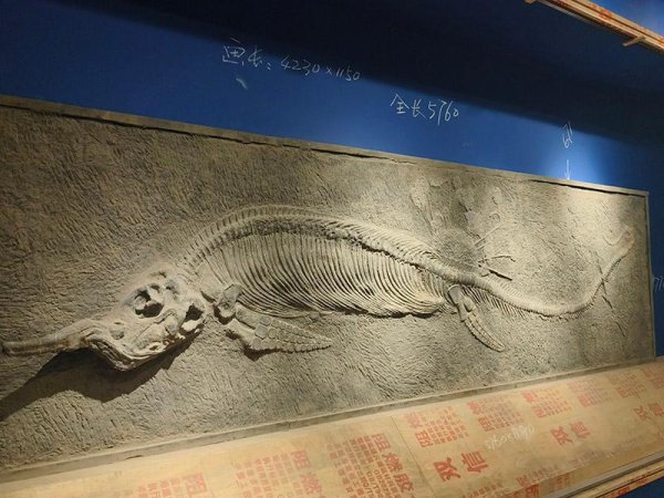 泸深策略 中国天眼景区“硬核”升级 打造沉浸式游览目的地